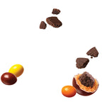 REESE'S PIECES Peanut Butter Candy, Resealable Bulk Bag, 1.36 kg