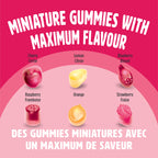 REALFRUIT Superfruits Gummy Candy - Made with Real Fruit, Vegan, Gluten & Peanut-Free Snack for Adults and Children, Proudly Canadian Company, Cranberry, Black Currant, Blueberry and Blackberry, 180g