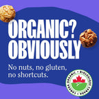 MadeGood Granola Bites Chocolate Chip and Strawberry Variety 28-Pack