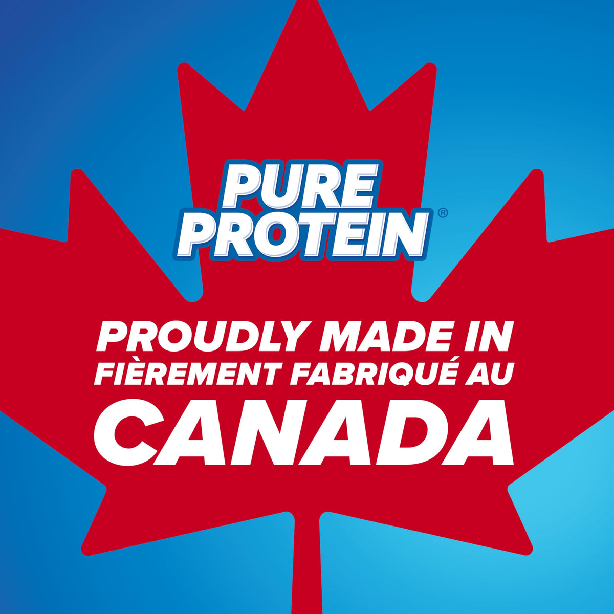 Pure Protein Bars - Nutritious, Gluten Free bar, made with Whey protein blend - low sugar, protein snack. Deliciously satisfying. Made in Canada, Chocolate Peanut Caramel (Pack of 6)