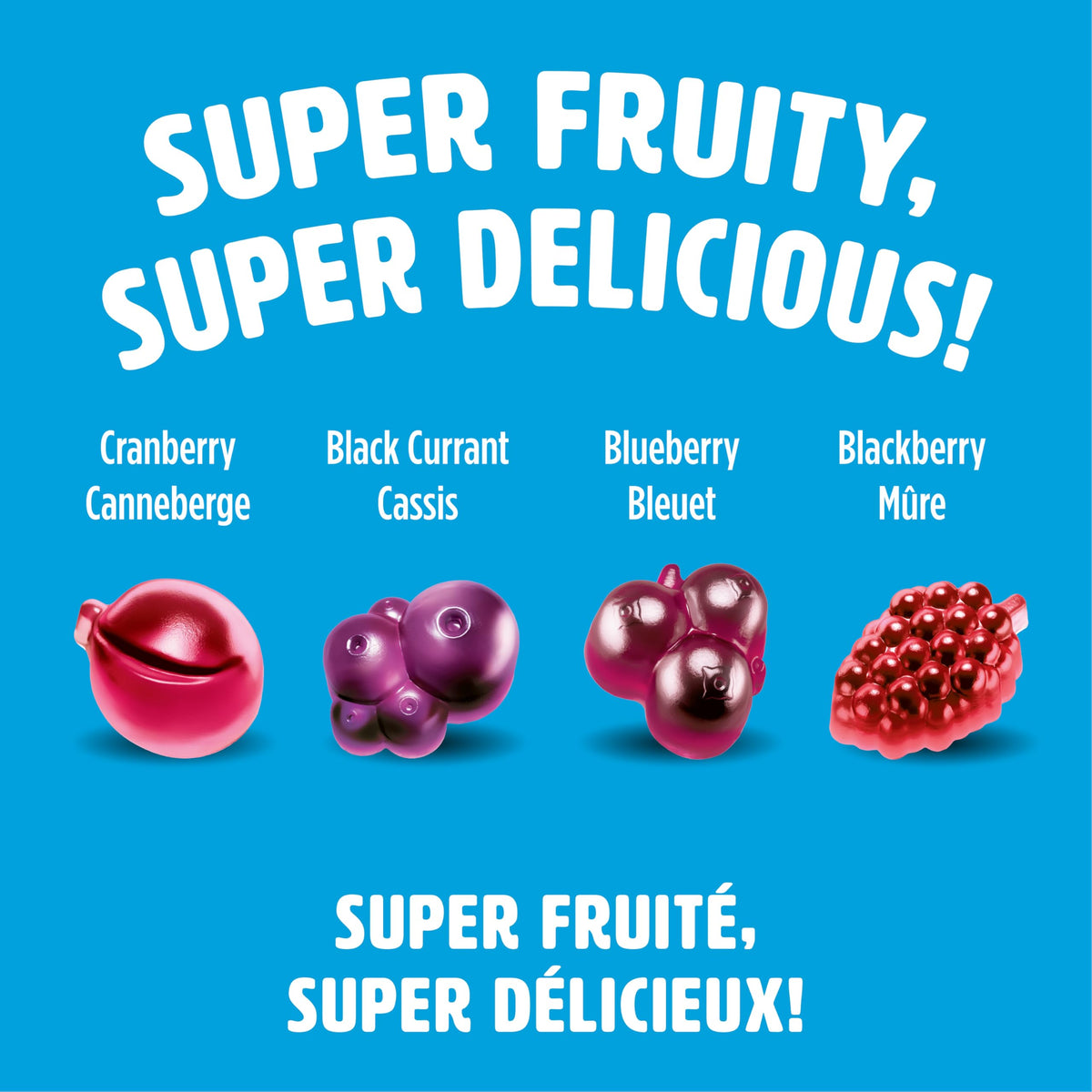 REALFRUIT Superfruits Gummy Candy - Made with Real Fruit, Vegan, Gluten & Peanut-Free Snack for Adults and Children, Proudly Canadian Company, Cranberry, Black Currant, Blueberry and Blackberry, 180g