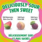 REALFRUIT Superfruits Gummy Candy - Made with Real Fruit, Vegan, Gluten & Peanut-Free Snack for Adults and Children, Proudly Canadian Company, Cranberry, Black Currant, Blueberry and Blackberry, 180g