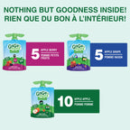 GoGo squeeZ Fruit Sauce Variety Pack, Apple, Strawberry, Peach, Banana, No Sugar Added. 90g per pouch, Pack of 20