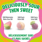 REALFRUIT Superfruits Gummy Candy - Made with Real Fruit, Vegan, Gluten & Peanut-Free Snack for Adults and Children, Proudly Canadian Company, Cranberry, Black Currant, Blueberry and Blackberry, 180g