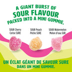 REALFRUIT Superfruits Gummy Candy - Made with Real Fruit, Vegan, Gluten & Peanut-Free Snack for Adults and Children, Proudly Canadian Company, Cranberry, Black Currant, Blueberry and Blackberry, 180g