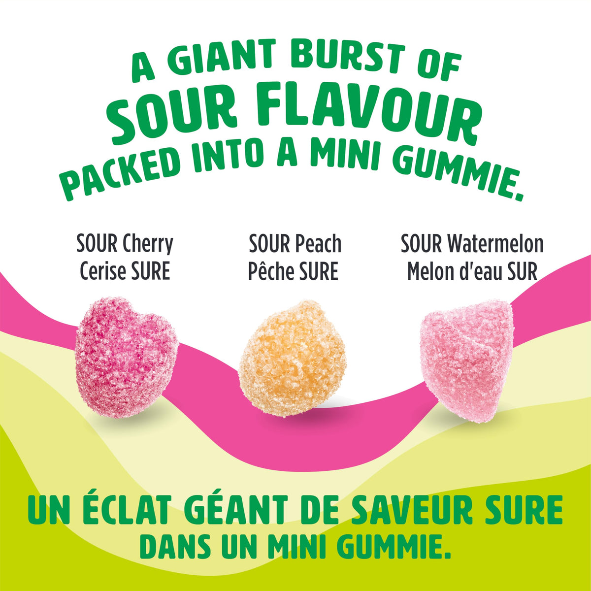 REALFRUIT Superfruits Gummy Candy - Made with Real Fruit, Vegan, Gluten & Peanut-Free Snack for Adults and Children, Proudly Canadian Company, Cranberry, Black Currant, Blueberry and Blackberry, 180g