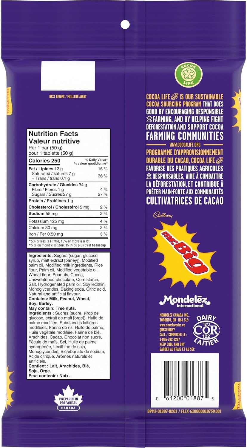 Cadbury Mr. Big Chocolatey Candy Bars, 4 Pack, 200g